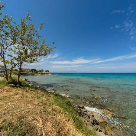 Eleni - 1st Floor Open Plan * اليكاناس